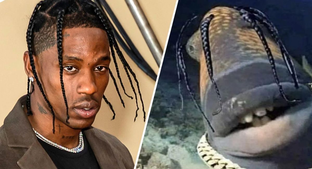 Travis Scott Fish